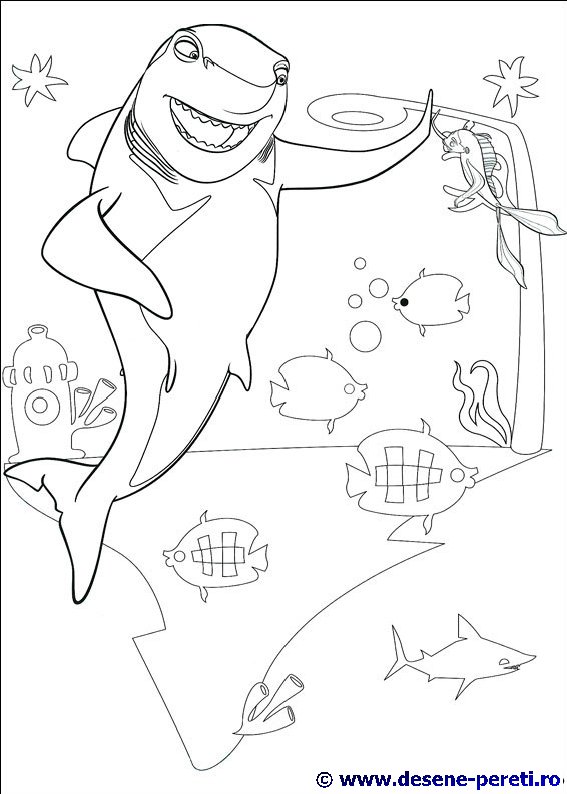 shark tale desene colorat